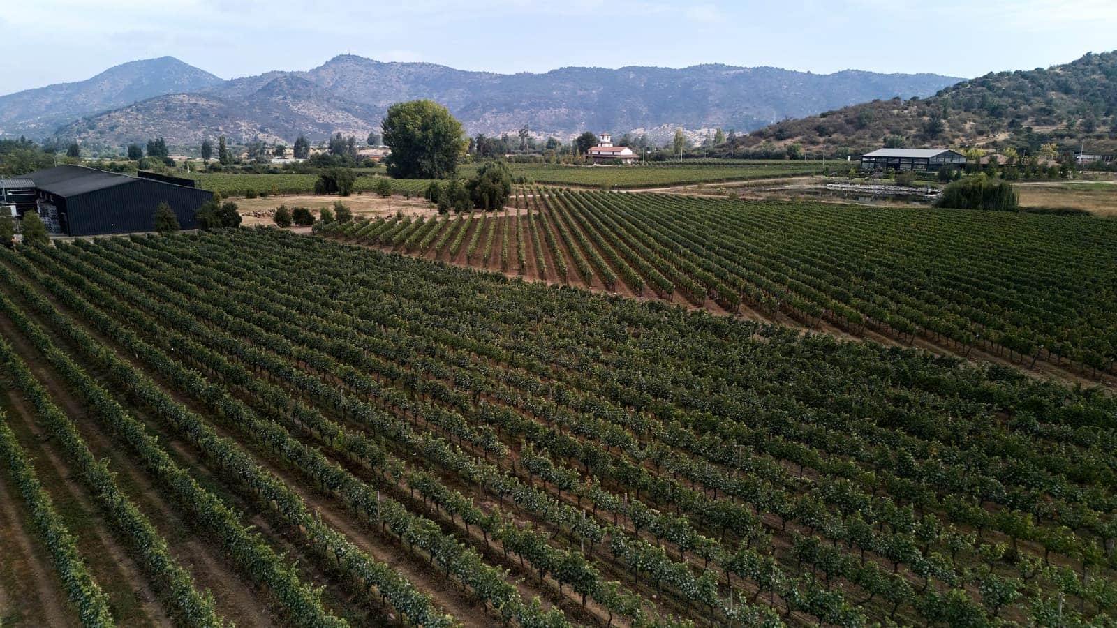 Viñedos Valle Secreto desde el aire